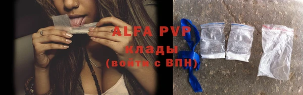 винт Алзамай