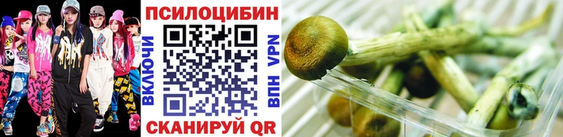 Псилоцибиновые грибы MAGIC MUSHROOMS  даркнет сайт  Нефтекумск 